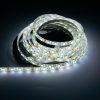 LED Szalag Kültéri 5050 60 LED/M 12V Hideg Fehér LS-5W65W